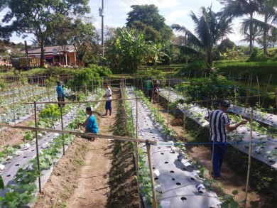 Pendidikan di bidang Pertanian